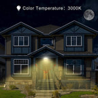 Flood Light IP65