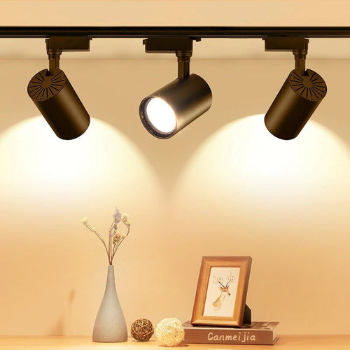 Ceiling Mounted COB Track Light (10W)