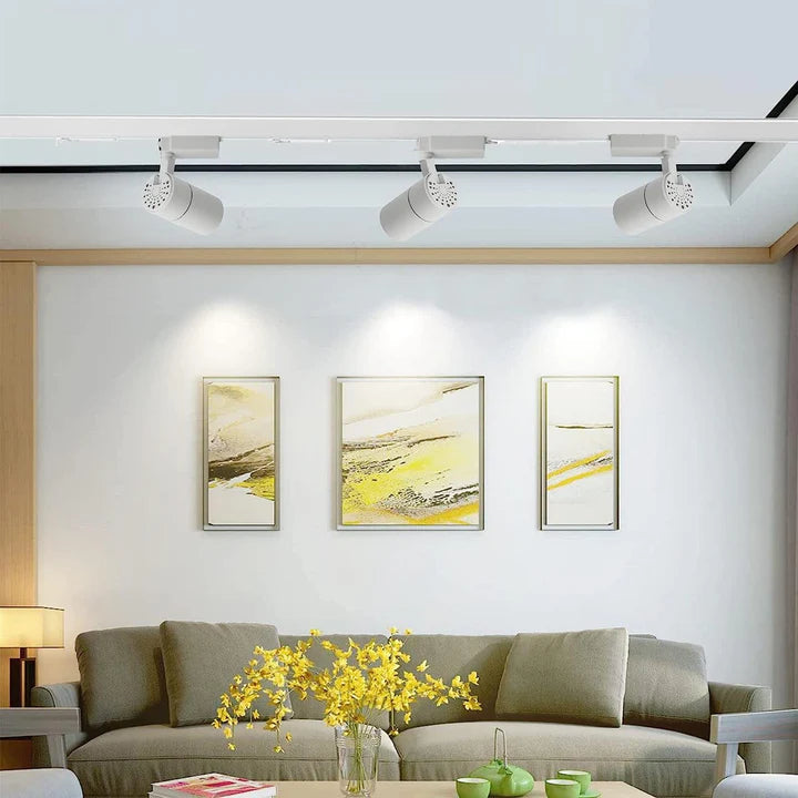 LED Track Spot Light 30W (White Body)