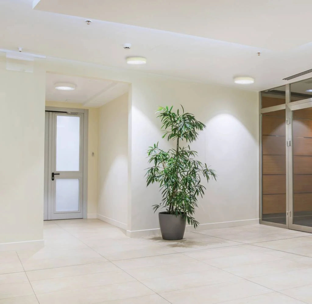 Round Surface Mounted Panel Light White